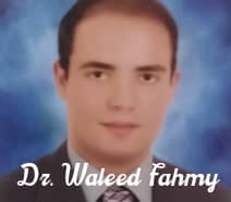 Slider image (1) Dr. Waleed Fahmy-Online consultations-providing treatment sessions online.